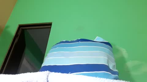 morelko2024 online show from 01.25.25