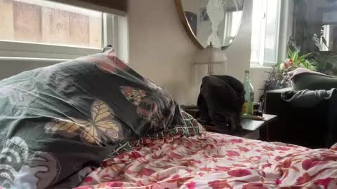 moreplease413 online show from 12.27.24