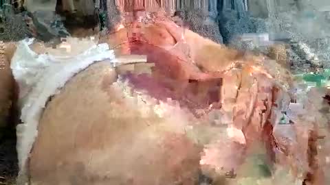 Snapshot of mosta977 chatting on 11.24.25 Arab boy online show from 11.24.25