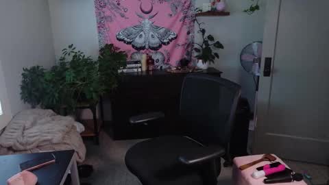 Snapshot of mousiegirl chatting on 02.27.26 Mousie online show from 02.27.26