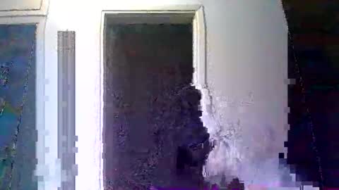 mppempis81 online show from 01.10.26