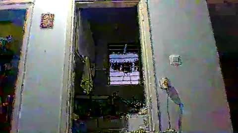 mppempis81 online show from 01.14.26