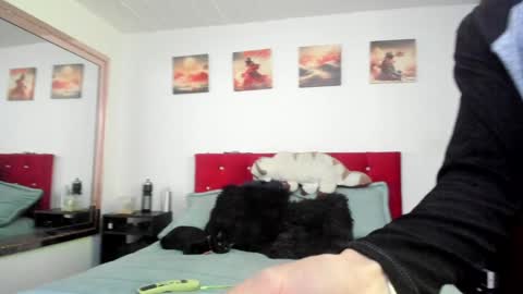 Snapshot of mr_andresr chatting on 12.23.24 Andy online show from 12.23.24