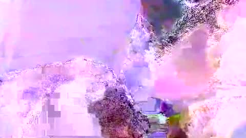 Mr boom online show from 06.05.26