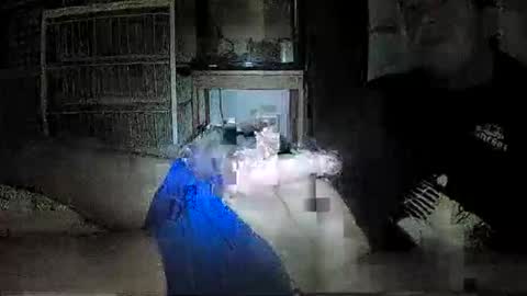 mrgray11xxx aussie online show from 12.08.24