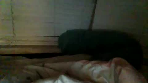 mrgray11xxx aussie online show from 12.20.24