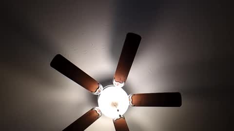 mrorange50187 online show from 01.26.25