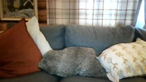 Snapshot of mrpornstar33 chatting on 03.27.26 Twinsoulsex online show from 03.27.26