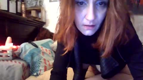 warningdreams online show from 12.19.24