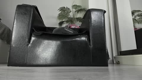 Goddess. Miss. Lady.  Queen. Madam Milady online show from 01.10.25