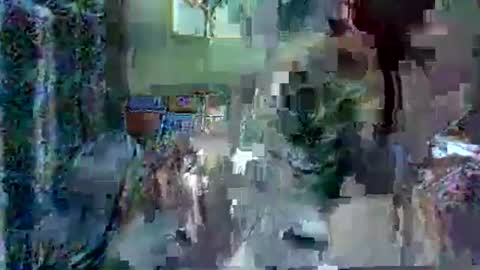 LEXIE online show from 12.14.25