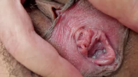 Snapshot of ms_pickless chatting on 01.26.25 Annabelle online show from 01.26.25