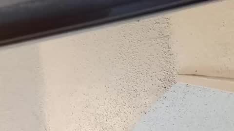 melissa online show from 03.14.26