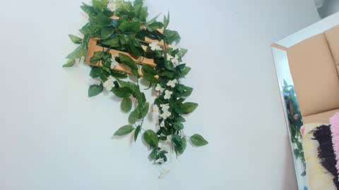 MARIA ANTONELLA 3 online show from 01.15.26