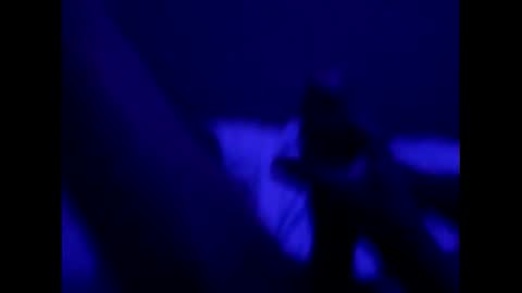 mt220 online show from 12.16.24