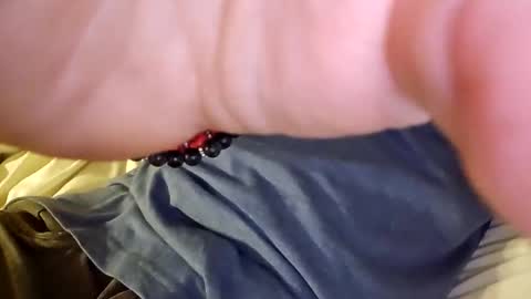 mtnclimber1 online show from 11.19.25