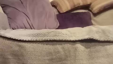 Snapshot of mtx9889 chatting on 10.27.25 mtx9889 online show from 10.27.25