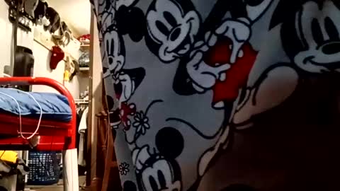 Snapshot of muddflapz chatting on 10.06.25 muddflapz online show from 10.06.25