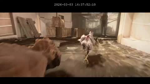 multitest101 online show from 03.03.26