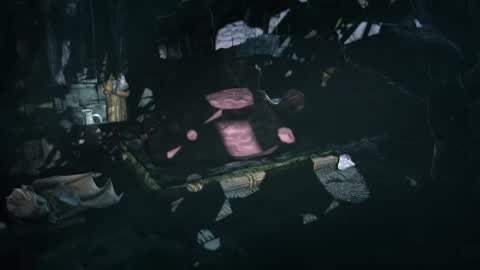 multitest101 online show from 03.11.26