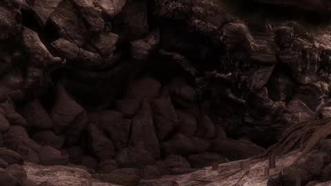 multitest101 online show from 03.17.26