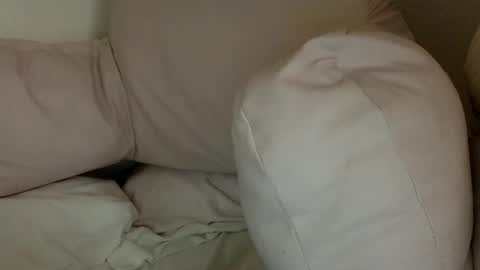 Snapshot of munchi_ chatting on 12.29.24 online show from 12.29.24