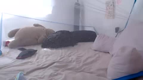   online show from 06.28.26