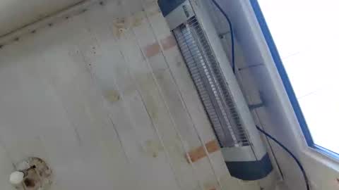 Snapshot of muscularsexybady chatting on 09.22.25 handsome sexy muscular man online show from 09.22.25