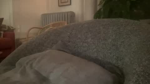 Snapshot of muslgut chatting on 02.16.25 muslgut online show from 02.16.25