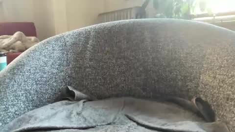 Snapshot of muslgut chatting on 03.09.25 muslgut online show from 03.09.25