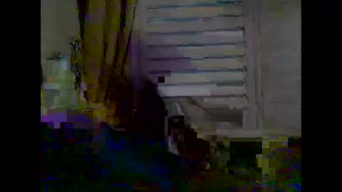 mycockissohard2021 online show from 05.02.26
