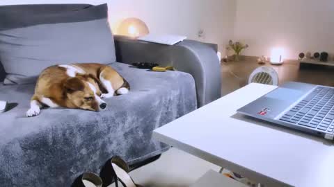 Anda online show from 02.17.25