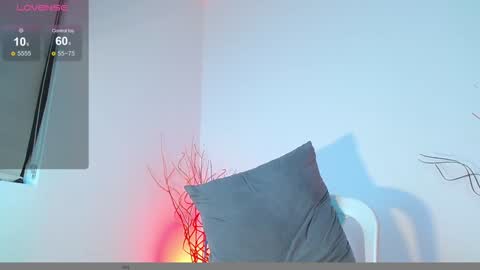 Snapshot of mylowallacee chatting on 12.07.24 Mylo Wallace online show from 12.07.24