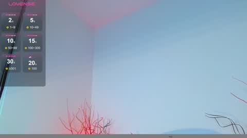 Snapshot of mylowallacee chatting on 12.12.24 Mylo Wallace online show from 12.12.24