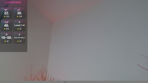 Snapshot of mylowallacee chatting on 12.17.24 Mylo Wallace online show from 12.17.24