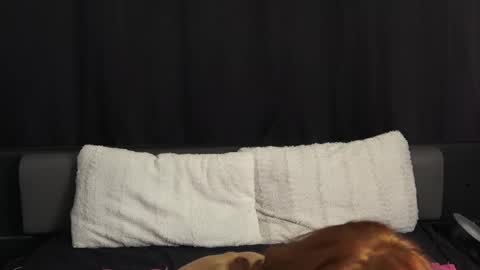 mymiesexy online show from 09.11.25