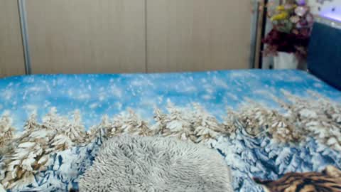 Snapshot of myrabelle24 chatting on 03.05.25 Myrabelle24 online show from 03.05.25