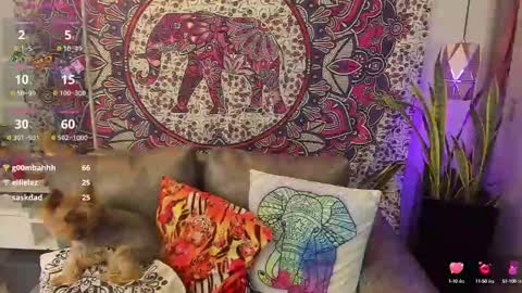 S A R A online show from 02.10.25