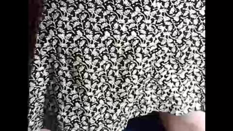 Snapshot of myself765 chatting on 02.18.25 Sissy Mike online show from 02.18.25