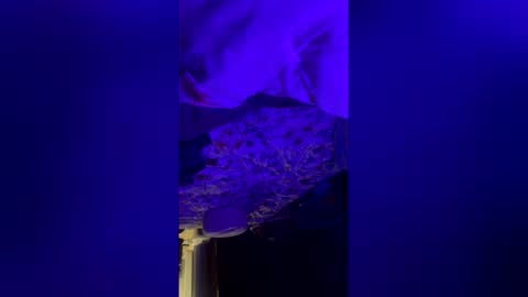 Snapshot of mysexiness0 chatting on 03.12.26 mysexiness0 online show from 03.12.26