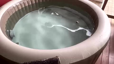 Sexyhotpapa online show from 12.02.24