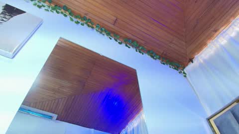 Snapshot of naia_x chatting on 12.01.25 Naia x online show from 12.01.25