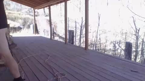 Naked Cabin Man online show from 11.14.25