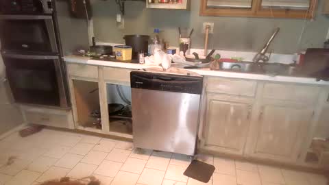 Snapshot of nakednate1780 chatting on 12.06.24 nakednate1780 online show from 12.06.24