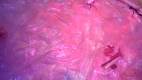 Snapshot of nakednate1780 chatting on 12.23.24 nakednate1780 online show from 12.23.24