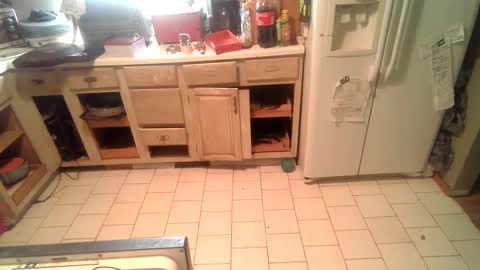 Snapshot of nakednate1780 chatting on 12.25.24 nakednate1780 online show from 12.25.24