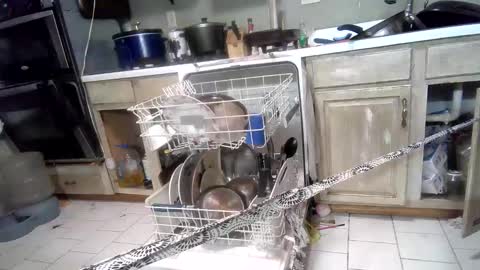 Snapshot of nakednate1780 chatting on 03.03.25 nakednate1780 online show from 03.03.25