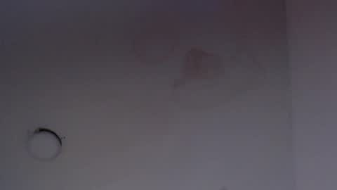 NALAROY online show from 03.12.25