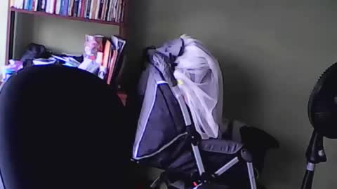 nana_666_ online show from 11.17.25