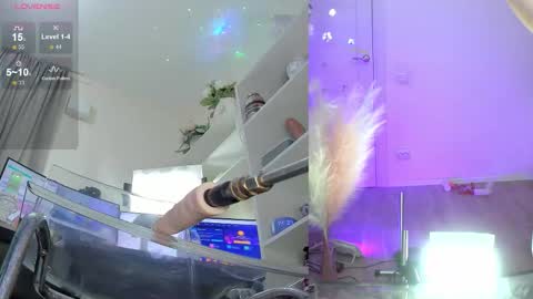 INSTAGRAM     bekkercat  online show from 11.17.25